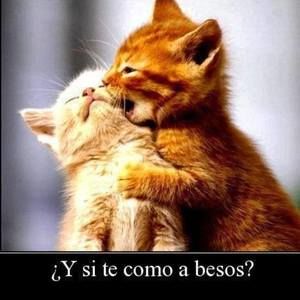 Meet your Posher, Sánchez